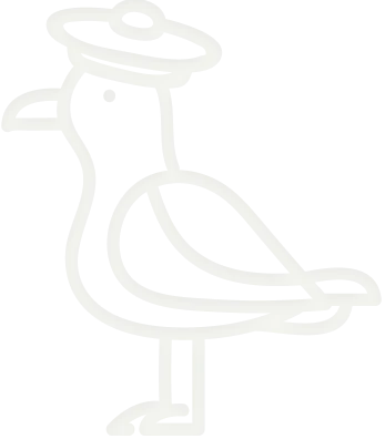 mouette